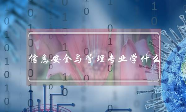 信息安全与管理专业学什么(网络安全专业就业前景)