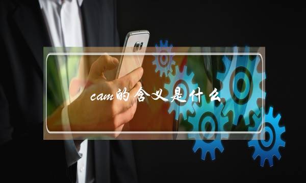 cam的含义是什么(女生说cam是什么意思)