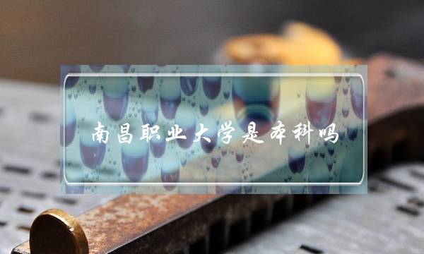 南昌职业大学是本科吗(职业本科很差吗)