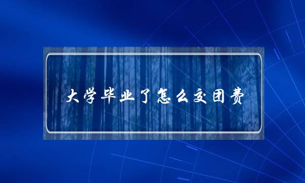大学毕业了怎么交团费(团费自己网上能交吗)