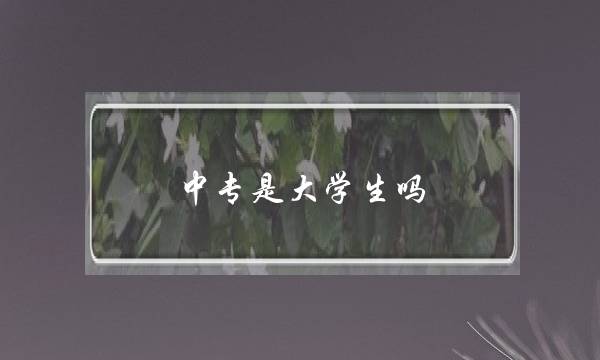 中专是大学生吗(大中专学生包括本科生吗)