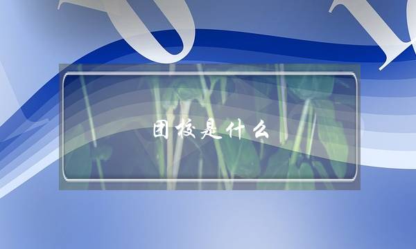 团校是什么(大学团校是干什么的)