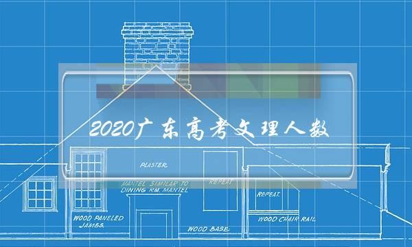 2020广东高考文理人数(2020年广东高考文理人数比例)