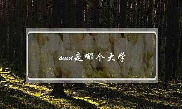 smu是哪个大学(新加坡管理大学好吗)