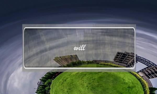 will 和be going to do 的区别(will的用法及句型)