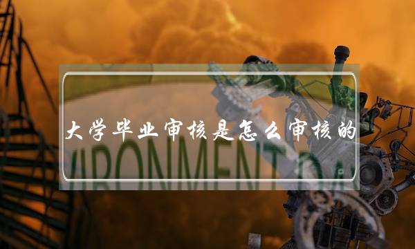 大学毕业审核是怎么审核的(大学毕业审核有几次)