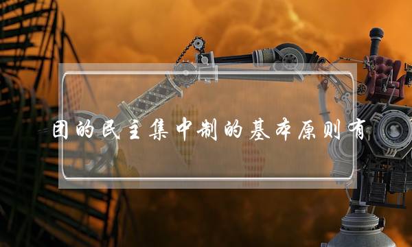团的民主集中制的基本原则有(四项基础团务内容)