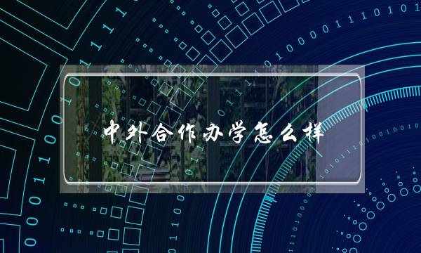 中外合作办学怎么样(最便宜的中外合作办学硕士)