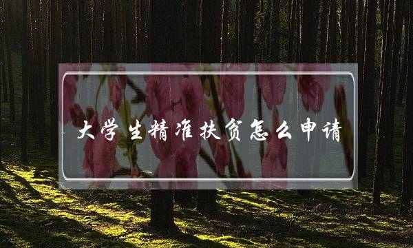 大学生精准扶贫怎么申请(大学生对扶贫的感悟)