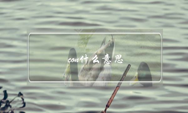 con什么意思(con网络语什么意思)