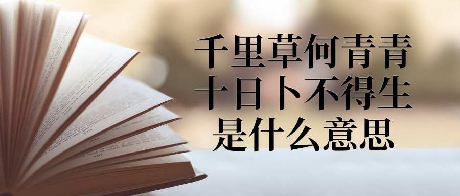 千里草何青青十日卜不得生是什么意思(千里草,何青青,十日卜,不得生)