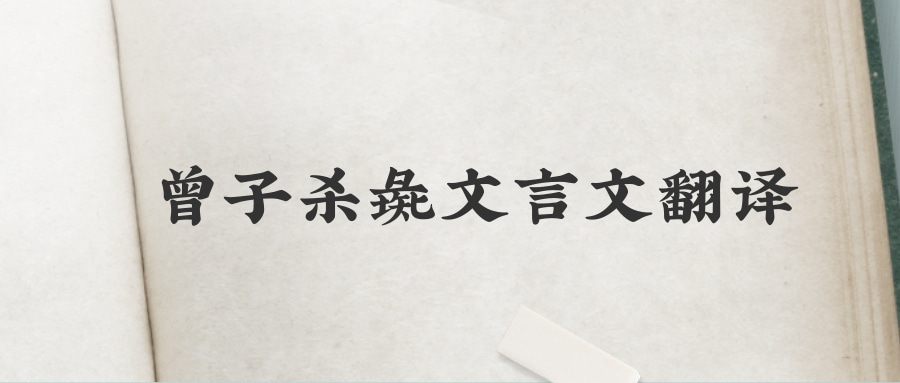 曾子杀彘文言文翻译(曾子杀彘文言文翻译启示)