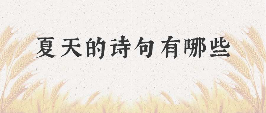 夏天的诗句有哪些(夏天的诗句有哪些小学)