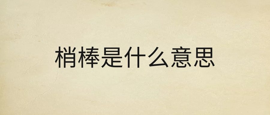 梢棒是什么意思(大虫是什么意思)