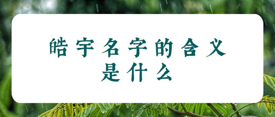 皓宇名字的含义是什么(皓宇名字的含义是什么200字)
