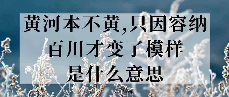 黄河本不黄,只因容纳百川才变了模样是什么意思(黄河的水本来不黄,因为容纳百川变了样子)