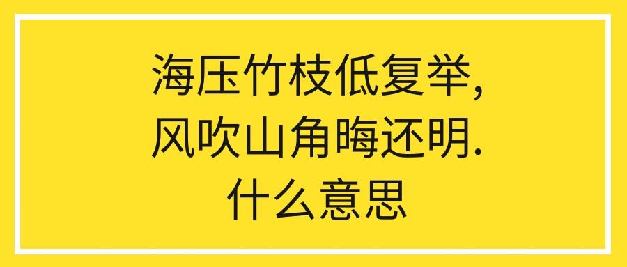 海压竹枝低复举,风吹山角晦还明.什么意思(海压竹枝低复举风吹山角晦还明什么意思-)