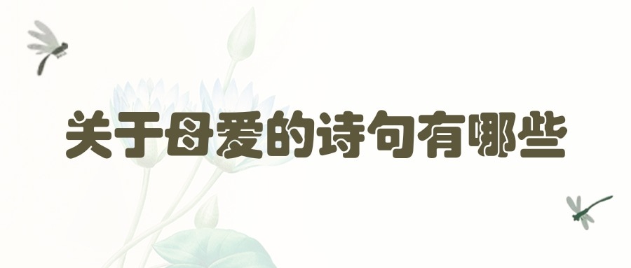 关于母爱的诗句有哪些(四年级关于母爱的诗句有哪些)