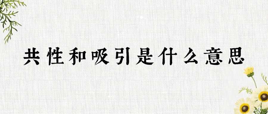 共性和吸引是什么意思(靠的是共性和吸引是什么意思)