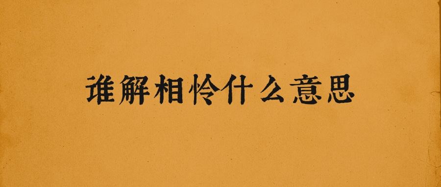 谁解相怜什么意思(谁解相怜怜的意思)
