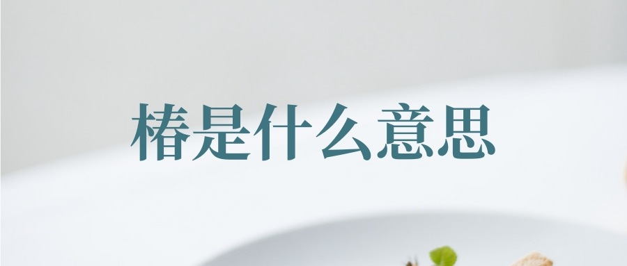 椿是什么意思(椿萱是什么意思)