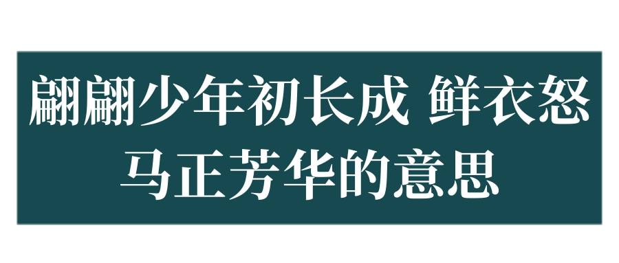 翩翩少年初长成 鲜衣怒马正芳华的意思(青春年少,鲜衣怒马是什么意思)