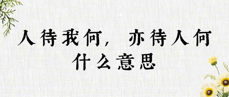 人待我何,亦待人何什么意思(人待我何亦待人何什么意思)