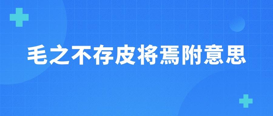 毛之不存皮将焉附意思(皮之不存毛将焉附意思)