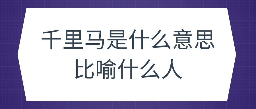 千里马是什么意思比喻什么人(千里马是什么意思比喻什么人简单回答)