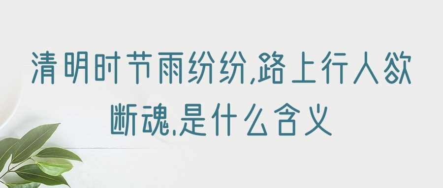 清明时节雨纷纷,路上行人欲断魂.是什么含义(清明时节雨纷纷,路上行人欲断魂这句话的意思)