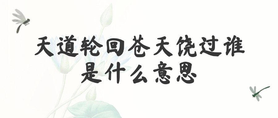 天道轮回苍天饶过谁是什么意思(天道好轮回 苍天饶过谁什么意思)