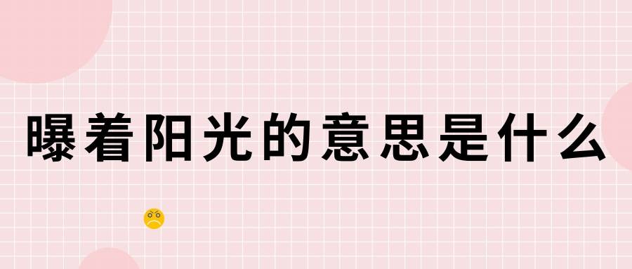 曝着阳光的意思是什么(曝着阳光的曝的意思)