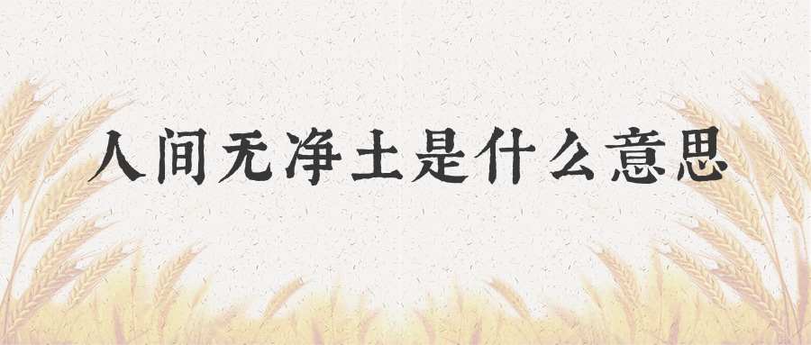 人间无净土是什么意思(世间无净土)