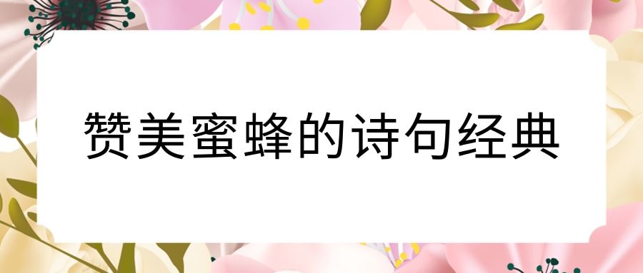 赞美蜜蜂的诗句经典(赞美蜜蜂的诗句经典小学)