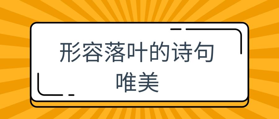 形容落叶的诗句唯美(关于落叶很美的诗句)