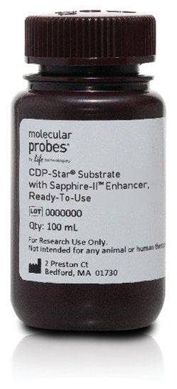 concentrate的固定搭配(concentrate用法及搭配)