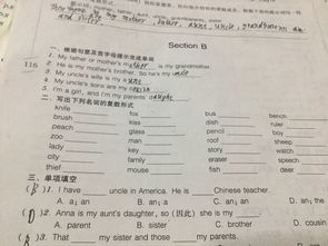 study的复数(study的复数形式) study的复数(study的复数形式)