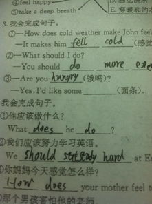 面条的英文是什么(面条的英文是什么怎么写)