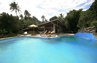 resort是什么意思(resort to是什么意思) resort是什么意思(resort to是什么意思)