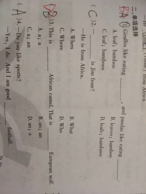 leaf的复数形式(leaf的复数形式是什么) leaf的复数形式(leaf的复数形式是什么)