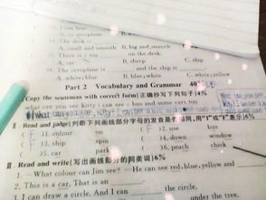 city复数形式是什么(city复数形式是什么原因) city复数形式是什么(city复数形式是什么原因)