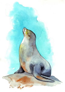 seal海豹怎么读(seal海豹怎么读音发音) seal海豹怎么读(seal海豹怎么读音发音)