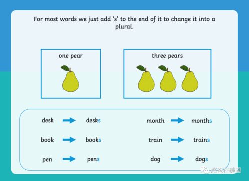 复数形式什么时候加es什么时候加s(复数在什么时候加es)