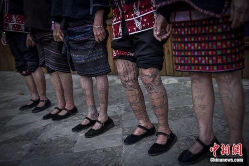 tatoo和tattoo的区别(tattoo和tattoos) tatoo和tattoo的区别(tattoo和tattoos)