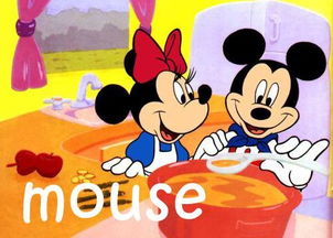 mouse老鼠的复数形式(mouse老鼠的复数形式为什么是mice)