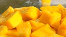 芒果的英文怎么说(芒果的英文怎么说mango) 芒果的英文怎么说(芒果的英文怎么说mango)