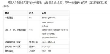 watch的复数形式怎么写(watch的复数形式怎么写及翻译) watch的复数形式怎么写(watch的复数形式怎么写及翻译)