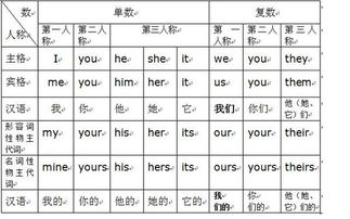 宾格和主格的区别(宾格和主格的区别及用法)