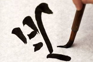 blood怎么读(blood怎么读音发音) blood怎么读(blood怎么读音发音)