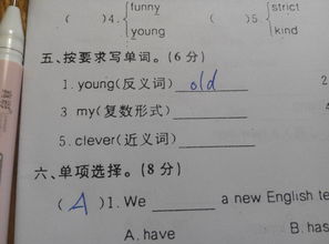 wish的复数形式(wish的复数形式是什么) wish的复数形式(wish的复数形式是什么)